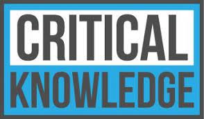 Navigating the Information Age: The Importance of Critical Knowledge