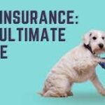 The Ultimate Guide to Pet Insurance: What You Need to Know