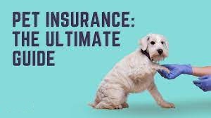 The Ultimate Guide to Pet Insurance: What You Need to Know